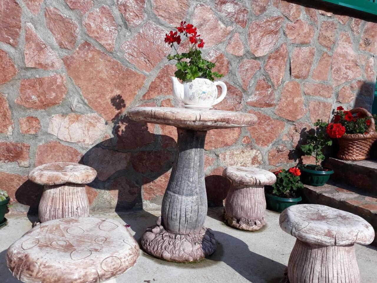Vila Krismark Žabljak エクステリア 写真